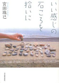 画像1: 【いい感じの石ころを拾いに】宮田珠己