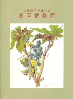 画像1: 【小磯良平の描いた薬用植物画展】カタログ・図録