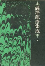 【澁澤龍彦集成5　評伝・創作・翻訳篇】