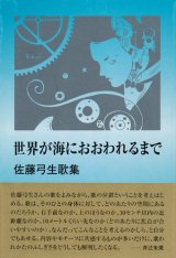 【世界が海におおわれるまで】佐藤弓生