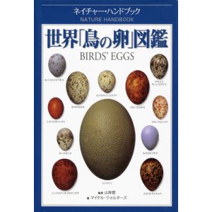 画像: 【世界「鳥の卵」図鑑】マイケル・ウォルターズ