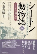 画像: 【シートン動物誌６　ミンクの通信法】　アーネスト・トンプソン・シートン