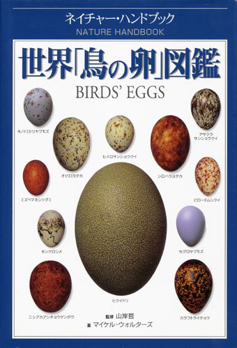 画像1: 【世界「鳥の卵」図鑑】マイケル・ウォルターズ