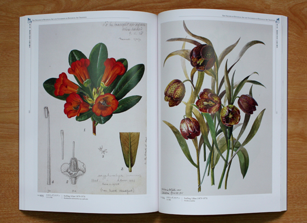画像: 【500年の大系　植物画世界の至宝展】図録・カタログ