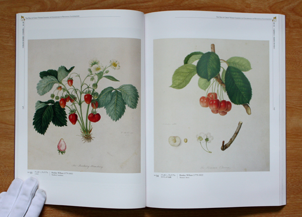 画像: 【500年の大系　植物画世界の至宝展】図録・カタログ
