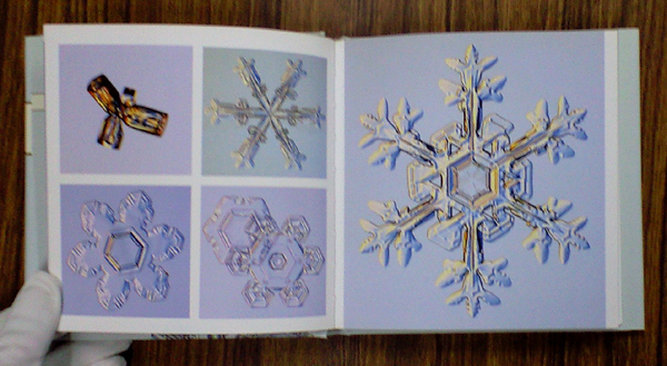 画像: 【The Little Book of SNOW FLAKES】 Kenneth Libbrecht